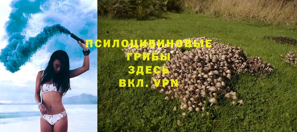 Альфа ПВП Аркадак