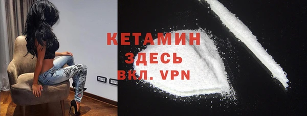 шишки Арсеньев