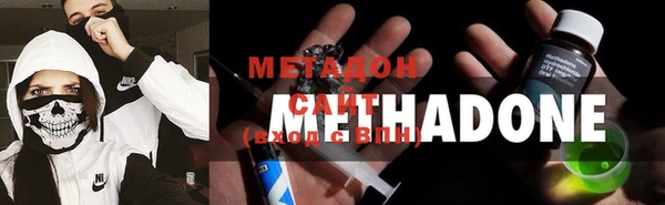 шишки Арсеньев
