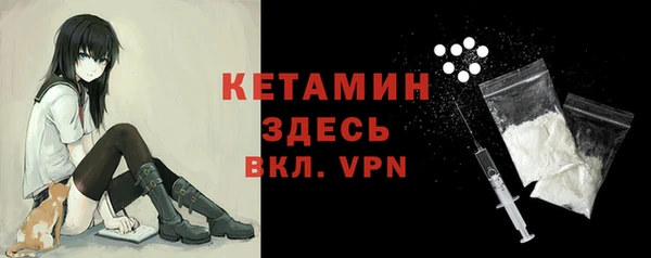 шишки Арсеньев